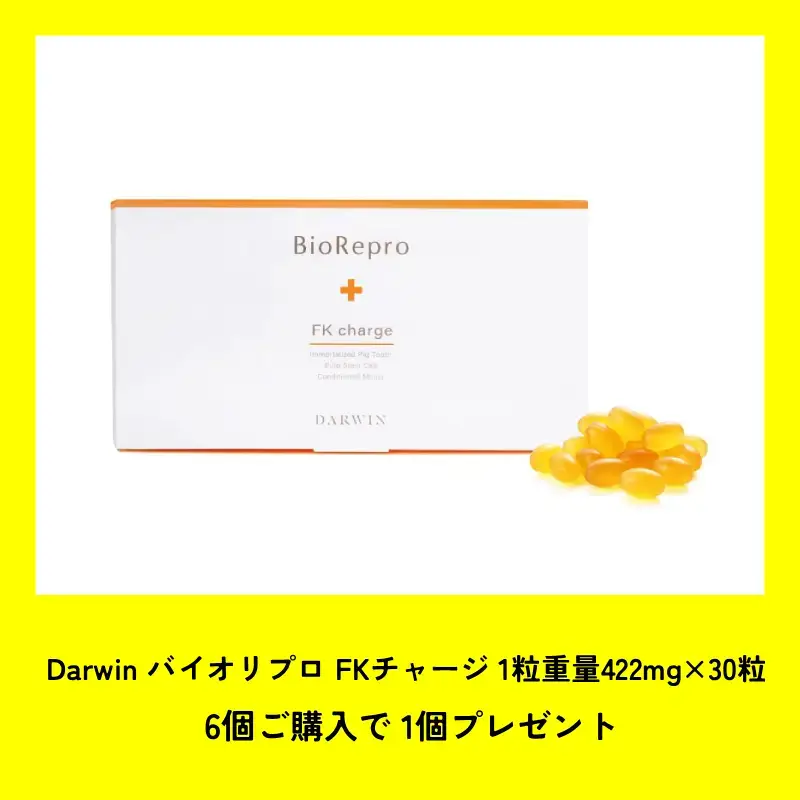 販促 | 株式会社シンビシン｜SHINBISHIN オンラインストア