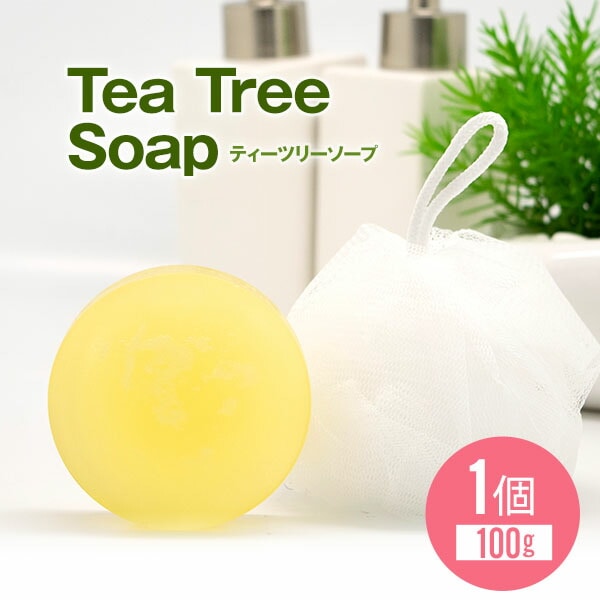 �ƥ����ĥ꡼�����סڰ��𥽡��ס�100��ۡڤϤ��ߤġ����å��󡡥������٥顡�ʤɤο�ʪͳ���ݼ���ʬ�۹�ۡھ����Ǥ��äפ��ˢΩ����Ĺ���Ȥ����ɾȽ�Ǥ����ۡڥ쥿���ѥå��ء����������ʧ������Բġˤξ�硧����̵���ۡڥ᡼�����б���ǽ��