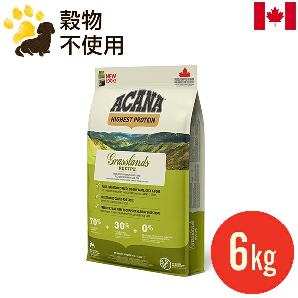  饹ɥɥå쥷 6kg () ɥåա  ǯ ʥ ̣2026.8.6