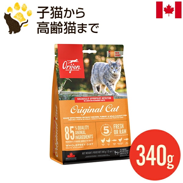 ꥸ ꥸʥ륭å 340g  ǯ ǭ åȥա ʥ  ̣2026.4.30