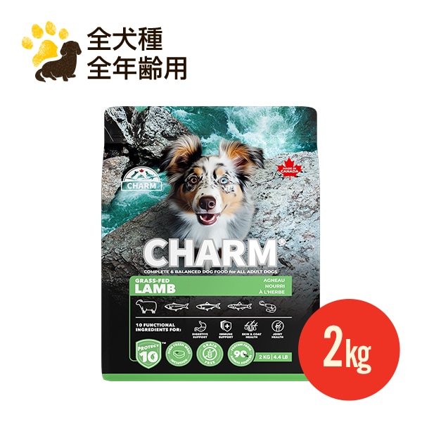 NEW ���㡼�� ���饹�ե��åɥ��ɥå��ա��� 2kg ������ �������� ��ǯ����  ������ܿ� �ɥå��ա��� ���ʥ��� ��̣����2027.8.12