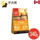 ���ꥸ�� �ѥԡ� 340g (������) �ɥå��ա��� �ĸ��� �Ҹ��� ��ʪ�Ի��� ������ܿ� ���ʥ��� ��� ��̣����2027.7.9