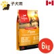 ���ꥸ�� �ѥԡ� 6kg (������) �ĸ��� ������ܿ� �ɥå��ա��� ���ʥ��� ��̣����2026.12.28