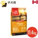 ���ꥸ�� �ѥԡ� 11.4kg (������) �ĸ��� ������ܿ� �ɥå��ա��� ���ʥ��� ��̣����2027.8.23