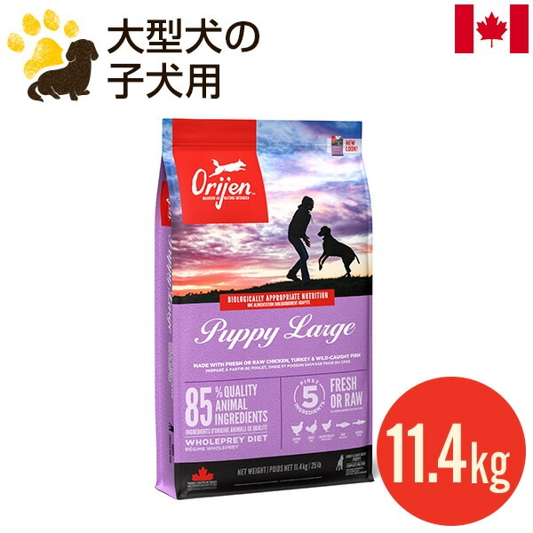 ���ꥸ�� �ѥԡ��顼�� 11.4kg (������) �ɥå��ա��� �緿�� �Ҹ� �Ƹ� �ĸ� ������ܿ� ��̣����2027.8.27