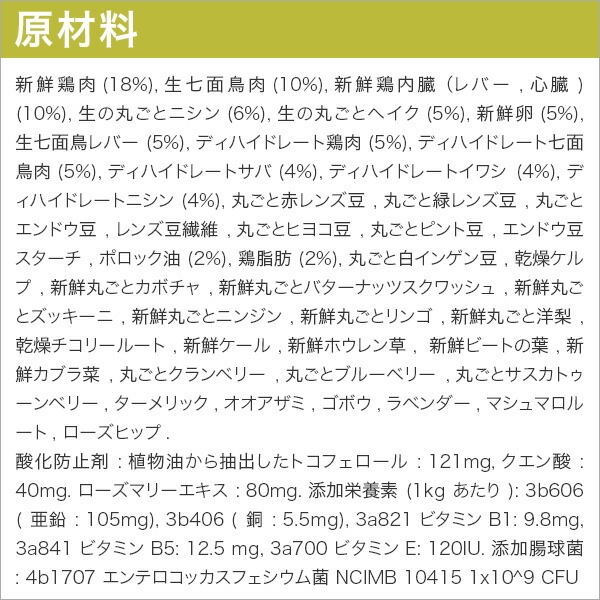 ���ꥸ�� ���˥� 11.4kg (������) ������ܿ� ������ �⥿��ѥ���������� �ɥå��ա��� ���ʥ��� ��̣����2026.11.8