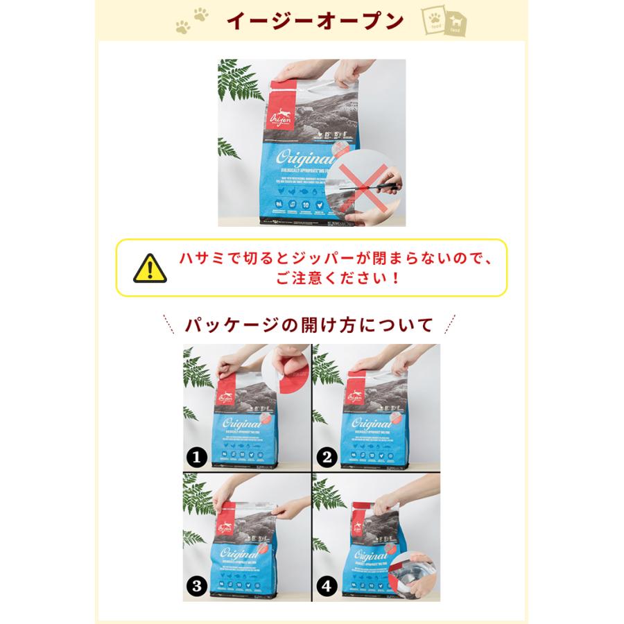 NEW ������ �衼�����㡼�ݡ��� 6kg (������) �ɥå��ա��� ������ ��ǯ���� �㥢��륮��  ��̣����2027.3.21