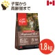 ꥸ 쥸ʥå å 1.8kg  ǯ ǭ åȥա ʥ ̣2025.10.17