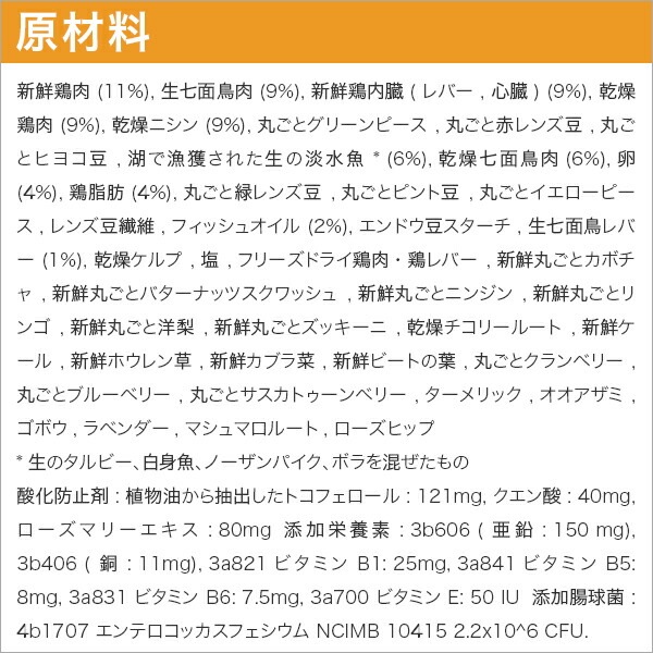  磻ɥץ쥤꡼ɥå쥷 6kg () ɥåա  ǯ ʥ ̣2026.6.8