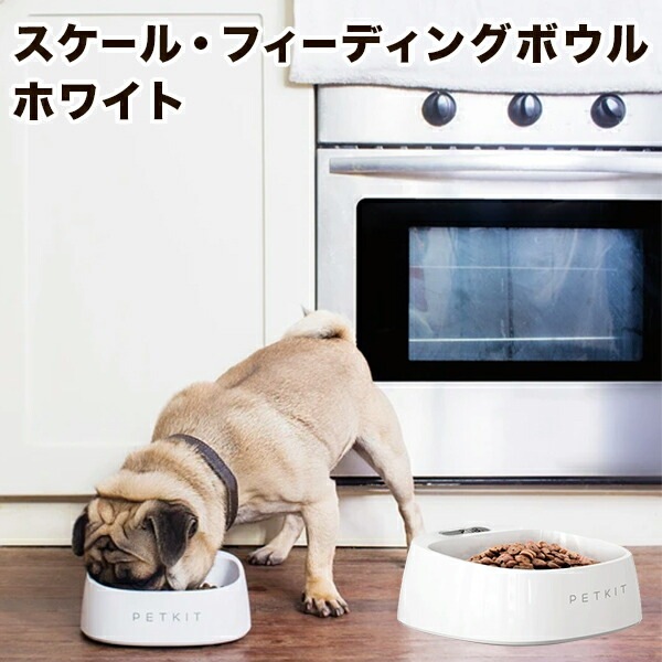 롦եǥ󥰥ܥ//ۥ磻 PETKIT ڥåȥå  ڥå  DADWAY åɥ   ǭ ͥ