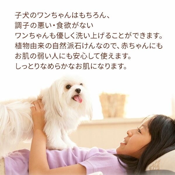 �ƥ����ĥ꡼�����סڰ��𥽡��ס�100��ۡڤϤ��ߤġ����å��󡡥������٥顡�ʤɤο�ʪͳ���ݼ���ʬ�۹�ۡھ����Ǥ��äפ��ˢΩ����Ĺ���Ȥ����ɾȽ�Ǥ����ۡڥ쥿���ѥå��ء����������ʧ������Բġˤξ�硧����̵���ۡڥ᡼�����б���ǽ��