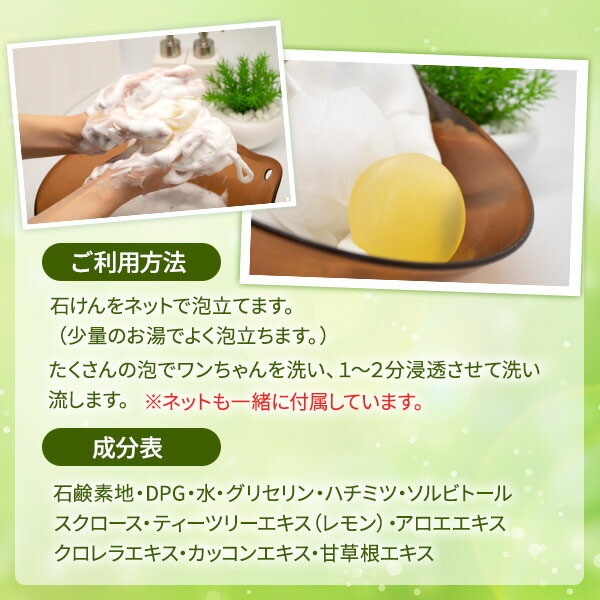 �ƥ����ĥ꡼�����סڰ��𥽡��ס�100��ۡڤϤ��ߤġ����å��󡡥������٥顡�ʤɤο�ʪͳ���ݼ���ʬ�۹�ۡھ����Ǥ��äפ��ˢΩ����Ĺ���Ȥ����ɾȽ�Ǥ����ۡڥ쥿���ѥå��ء����������ʧ������Բġˤξ�硧����̵���ۡڥ᡼�����б���ǽ��