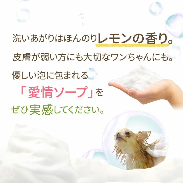 �ƥ����ĥ꡼�����סڰ��𥽡��ס�100��ۡڤϤ��ߤġ����å��󡡥������٥顡�ʤɤο�ʪͳ���ݼ���ʬ�۹�ۡھ����Ǥ��äפ��ˢΩ����Ĺ���Ȥ����ɾȽ�Ǥ����ۡڥ쥿���ѥå��ء����������ʧ������Բġˤξ�硧����̵���ۡڥ᡼�����б���ǽ��