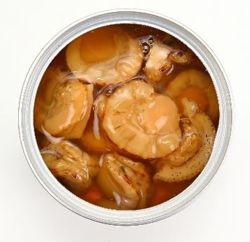 ��806157�ۼѳ��δ̡ϡ���Ω