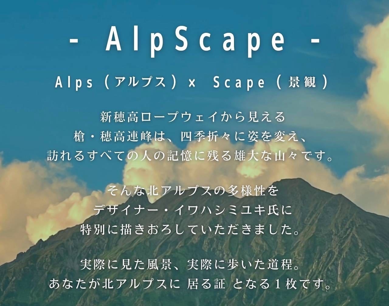 ץAlpScape Dry Tee ʥץץɥ饤Tġ