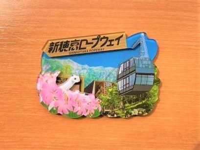 ���������ץ��������������ꥸ�ʥ�ե��ȥޥ��ͥå�