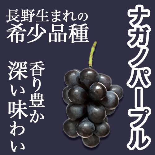 旅サラダで紹介】＼限定／3種のぶどうぷちおやき シャインマスカット