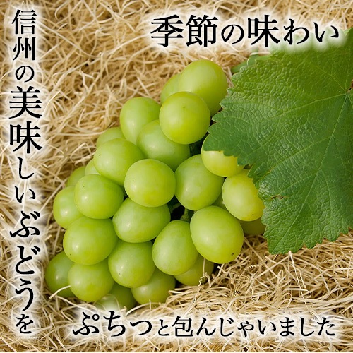 【旅サラダで紹介】＼限定／3種のぶどうぷちおやき　シャインマスカット　ナガノパープル　クイーンルージュ