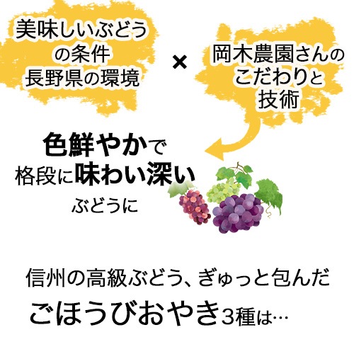 【旅サラダで紹介】＼限定／3種のぶどうぷちおやき　シャインマスカット　ナガノパープル　クイーンルージュ
