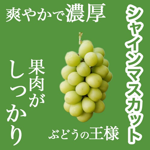 【旅サラダで紹介】＼限定／3種のぶどうぷちおやき　シャインマスカット　ナガノパープル　クイーンルージュ