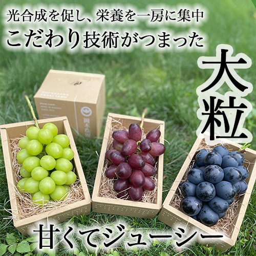 お得】＼限定／3種のぶどうぷちおやき 9個(3種×3)セット シャイン