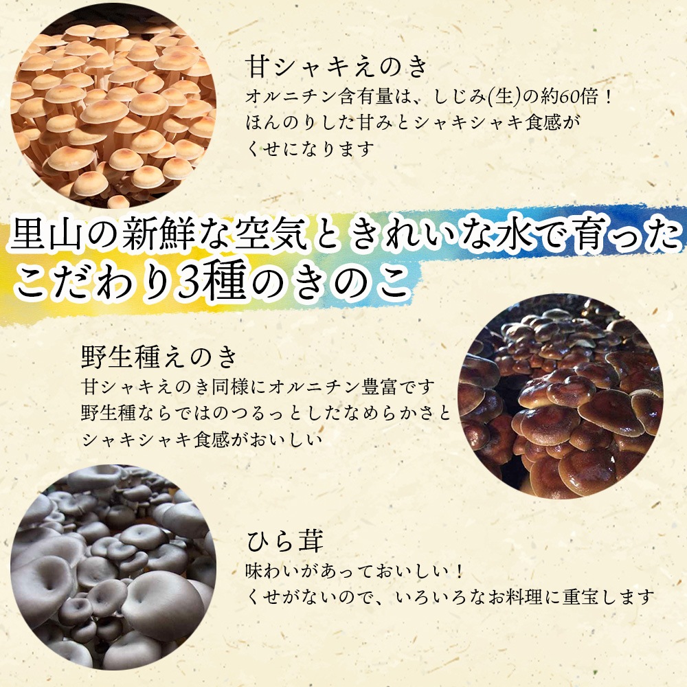 ＼訳ありセール／国産乾燥きのこ