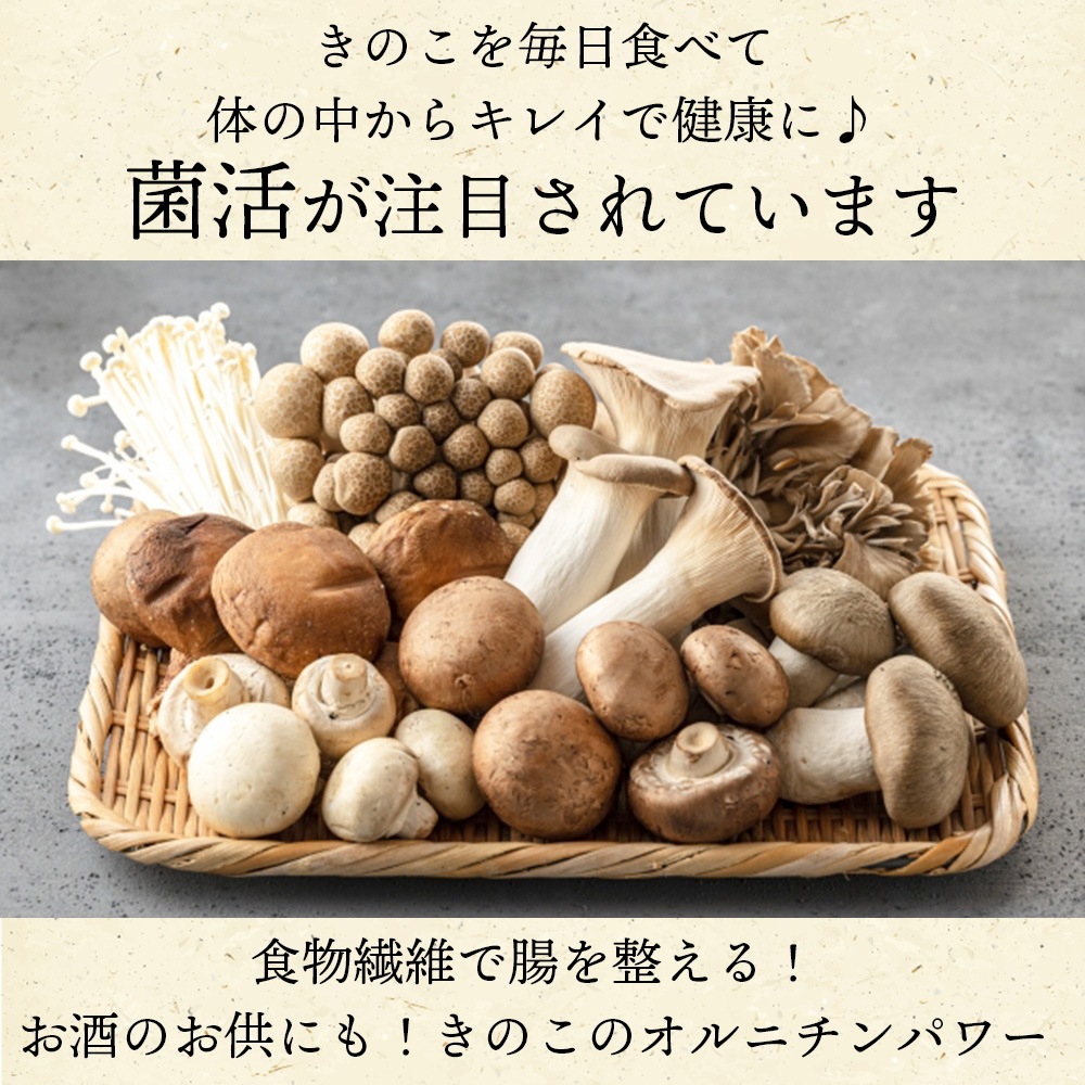 ＼訳ありセール／国産乾燥きのこ