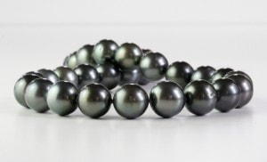 ���ҥ��ѡ���ͥå��쥹���礭��12.1-13.5�С�Ĺ��43�ѡۡ�231-16��