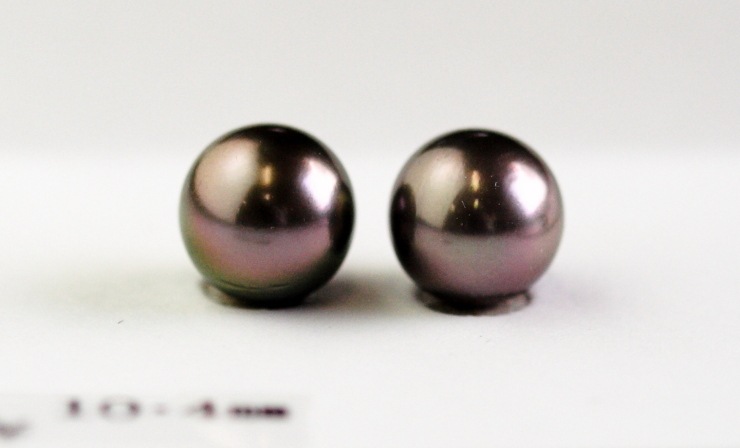 K14WGタヒチパールイヤリング【大きさ10㎜】 | 売り切れ品 | 真珠 