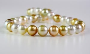 ĳѡޥ顼ͥå쥹礭10.1-12.6С45ѡۡ245-50