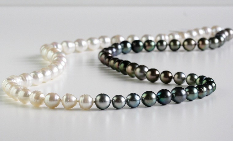 ��ĳ�����ĳ������󥰥ͥå��쥹���礭��8-12�С�Ĺ��88�ѡۡ�224-27��