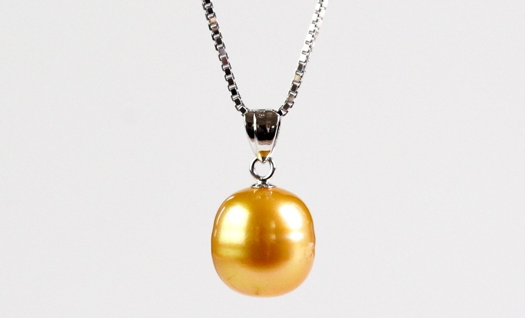 SV��ĳ�������ǥ�ڥ����ȡ��礭��10.7�Сۡ�245-4-2��