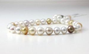 ĳޥ顼ͥå쥹礭9.1-11.4С43ѡۡ268-1