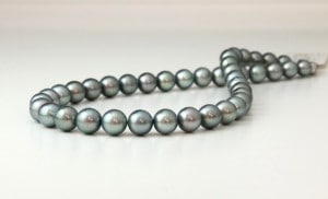 ��ĳ����ͥå��쥹���礭��8.2-10.8�С�Ĺ��43�ѡۡ�269-12��