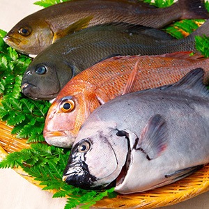 網元清兵衛 鮮魚ボックス