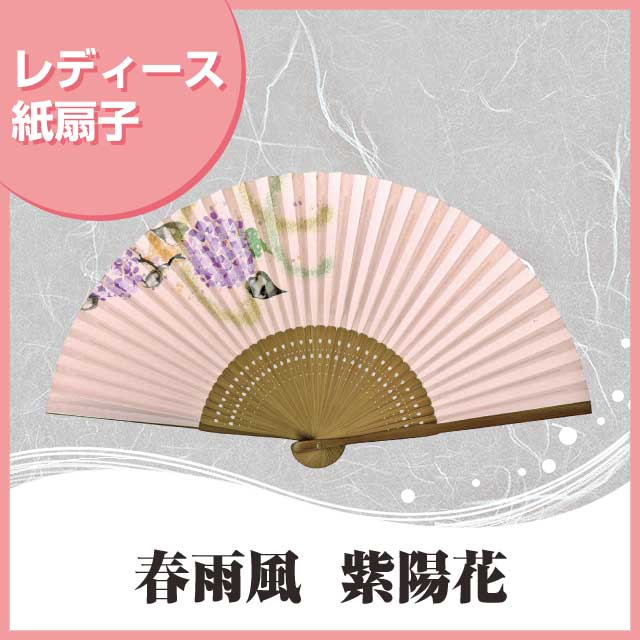 婦人紙扇子 春雨風 ピンク地 紫陽花 扇子箱付