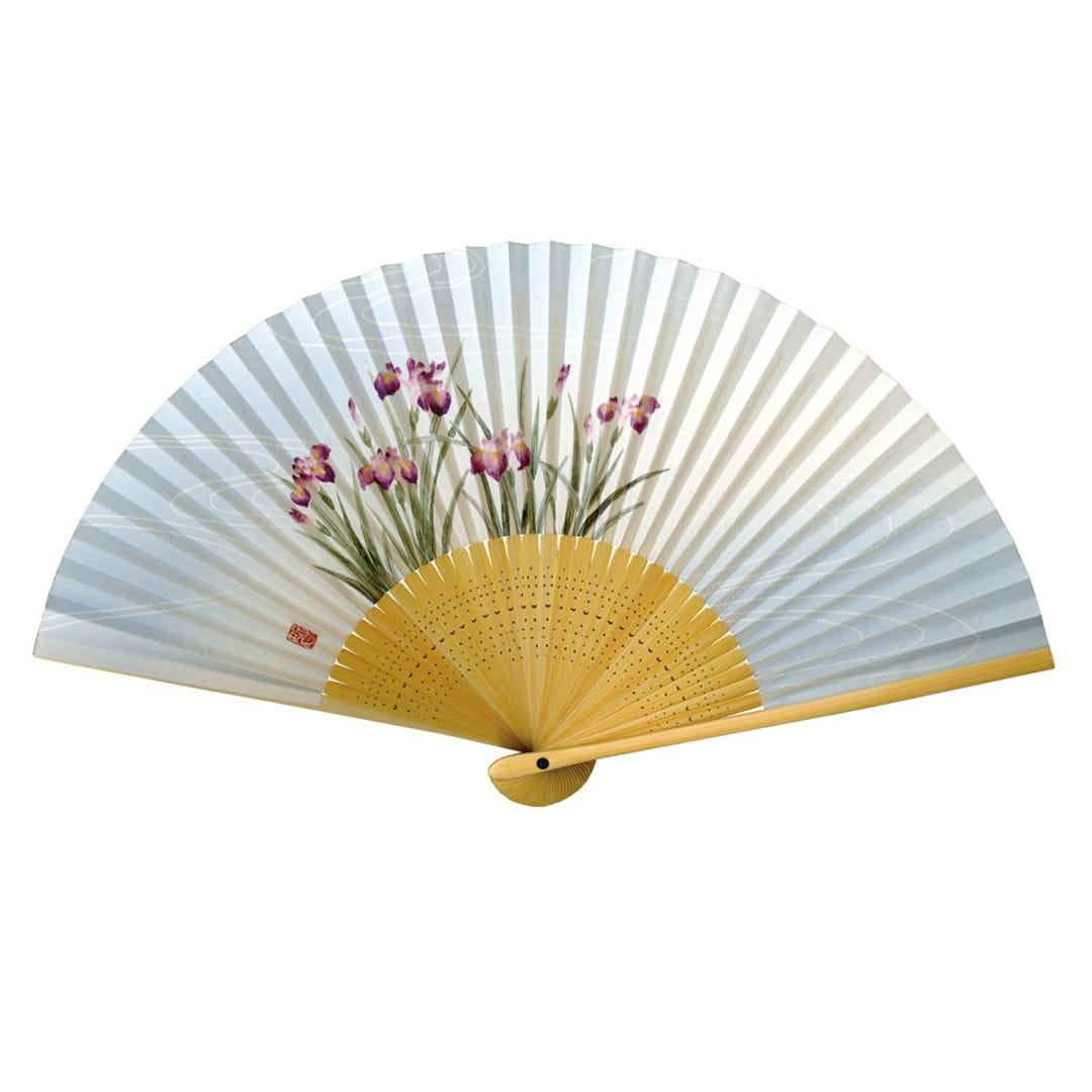 婦人紙扇子 白竹 菖蒲 扇子箱付