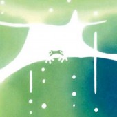 注染手ぬぐい 甘雨の蛙 生き物 日本製