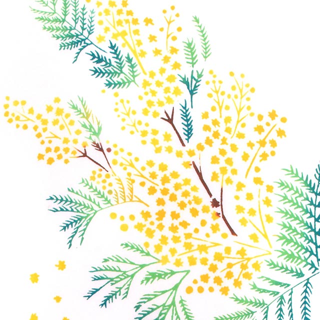 注染手ぬぐい 香るミモザ 春 花圃 日本製