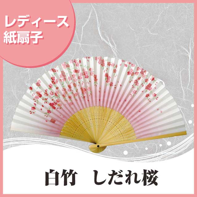 婦人紙扇子 白竹 しだれ桜 扇子箱付-商品画像