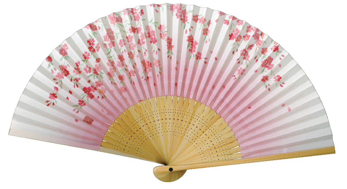 婦人紙扇子 白竹 しだれ桜 扇子箱付-商品画像