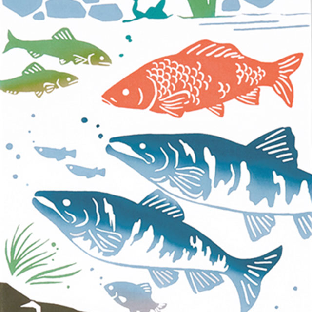 注染手ぬぐい 淡水魚 生き物 日本製-商品画像