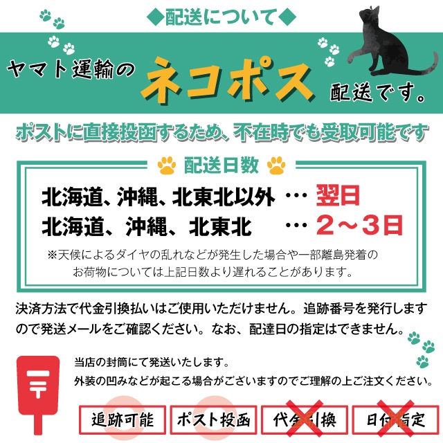 読むクリアファイル 真田三代年譜-商品画像