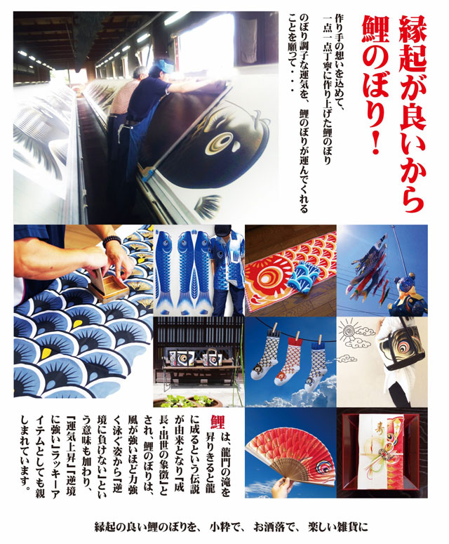 こい屋 鯉のぼり靴下 婦人用-商品画像