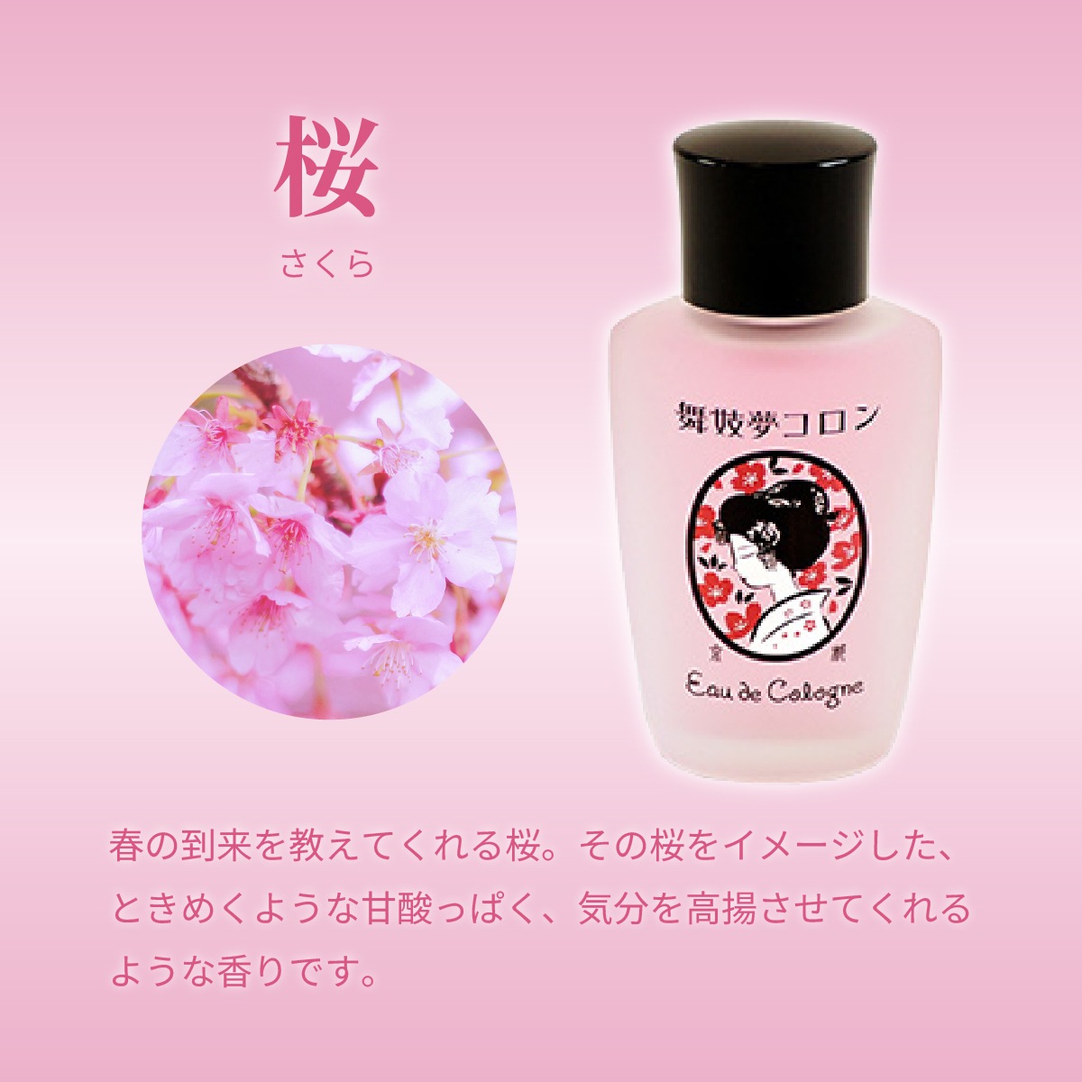 舞妓夢コロン 金木犀 桜 山梔子 柚子 紫式部 グリーンティ 白檀 香水-商品画像