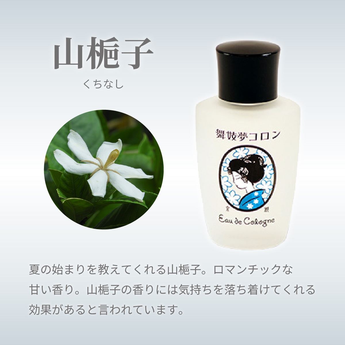 舞妓夢コロン 金木犀 桜 山梔子 柚子 紫式部 グリーンティ 白檀 香水-商品画像