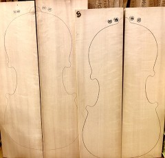 チェロ スプルース／ハーゼル（ベアクロー）表板材 | バイオリン