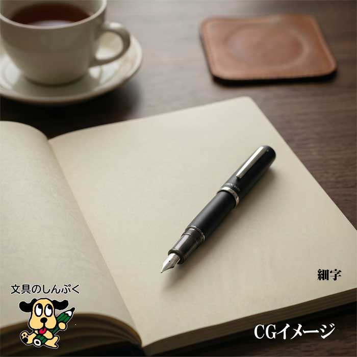 プラチナ万年筆 プロシオン PROCYON シャドウマイカ 細字 F PNS-5000 #1-2 ステンレス スリップシール 高級 万年筆 ギフト プレゼント 父の日 就職祝い 入学祝い