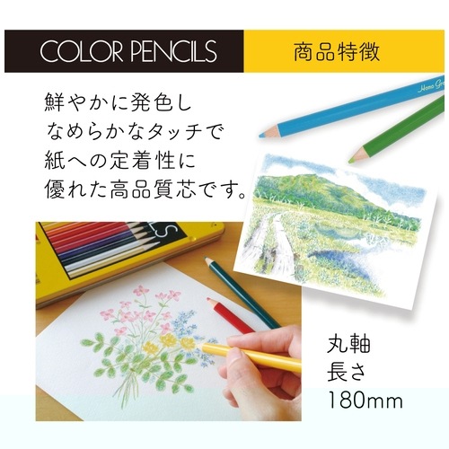 色鉛筆 CB-NQ24C 24色 缶入 トンボ鉛筆