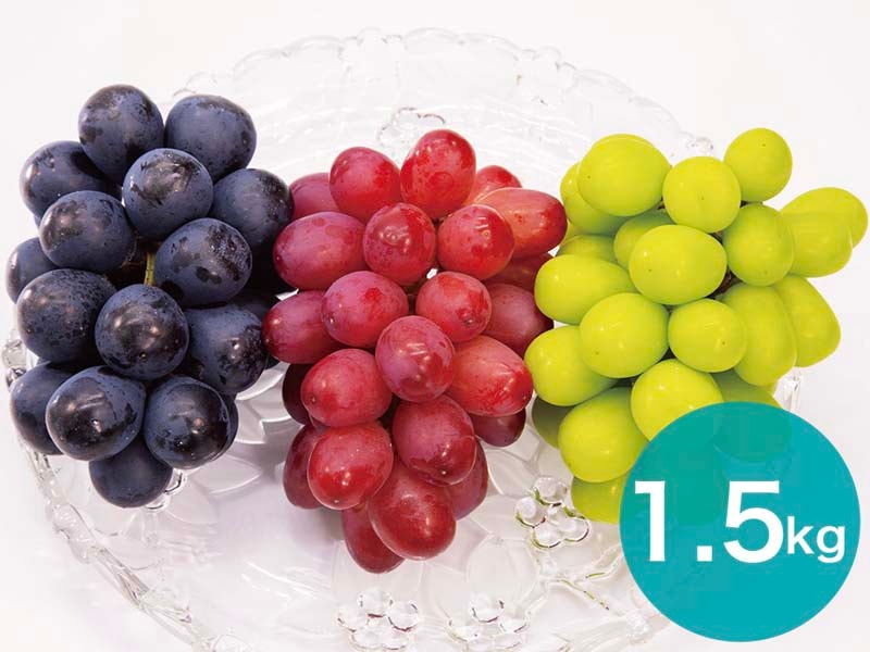 【3種セットA】プレミアムスリー約1.5kg(3～4房)【宅配贈答専用】